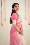 Ddf 303 Soft Cotton Silk Saree Catalog